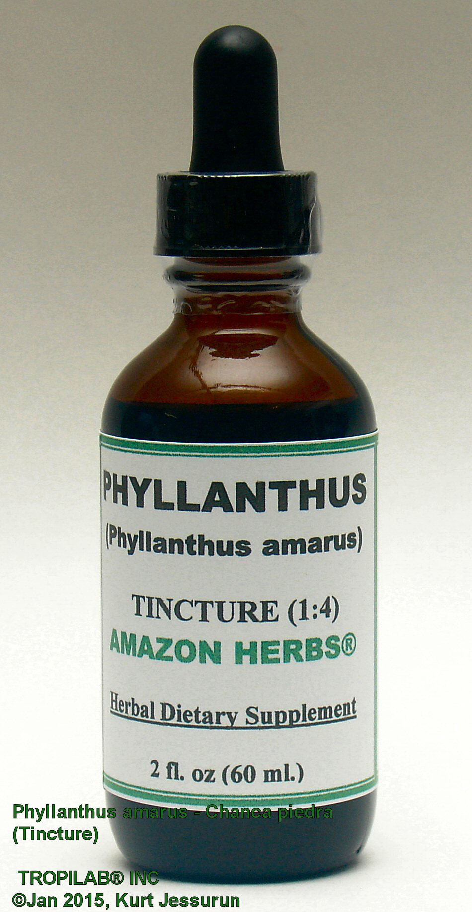 Phyllanthus amarus, Chanca piedra herbal tincture - Tropilab.