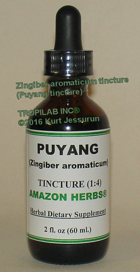 Zingiber aromaticum-Puyang tinture - Tropilab. Has high potential in preventing and controlling
 carcinogenesis. And is effective as an anticancer agent and exhibited HIV-inhibitory