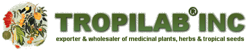 Tropilab Inc., Exporteur en grootverkoper van medicinale 
planten, kruiden,<br> tropische zaden en snijbloemen.