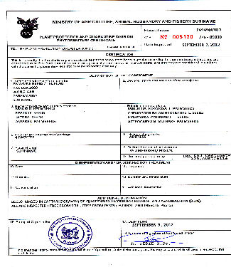 phyto-sanitary certificate