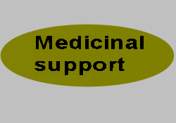 Medicinal support