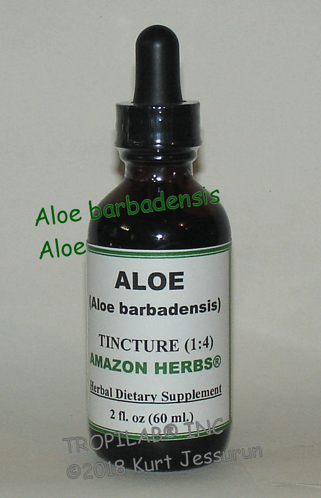 Aloe species - Aloe tincture - Tropulab.