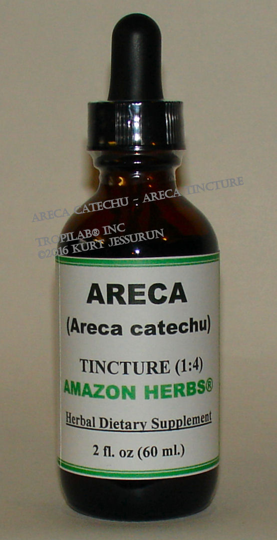 Areca catechu - Betelnut tincture only for US$18.65 per 2 fl oz.
Areca is a well known herbal tranquilizer in Asia. Chewing on the nut gives a euphoria and feeling of well being. Areca nut is also
 used to treat headaches, stomach pains, venereal disease, fever and rheumatism