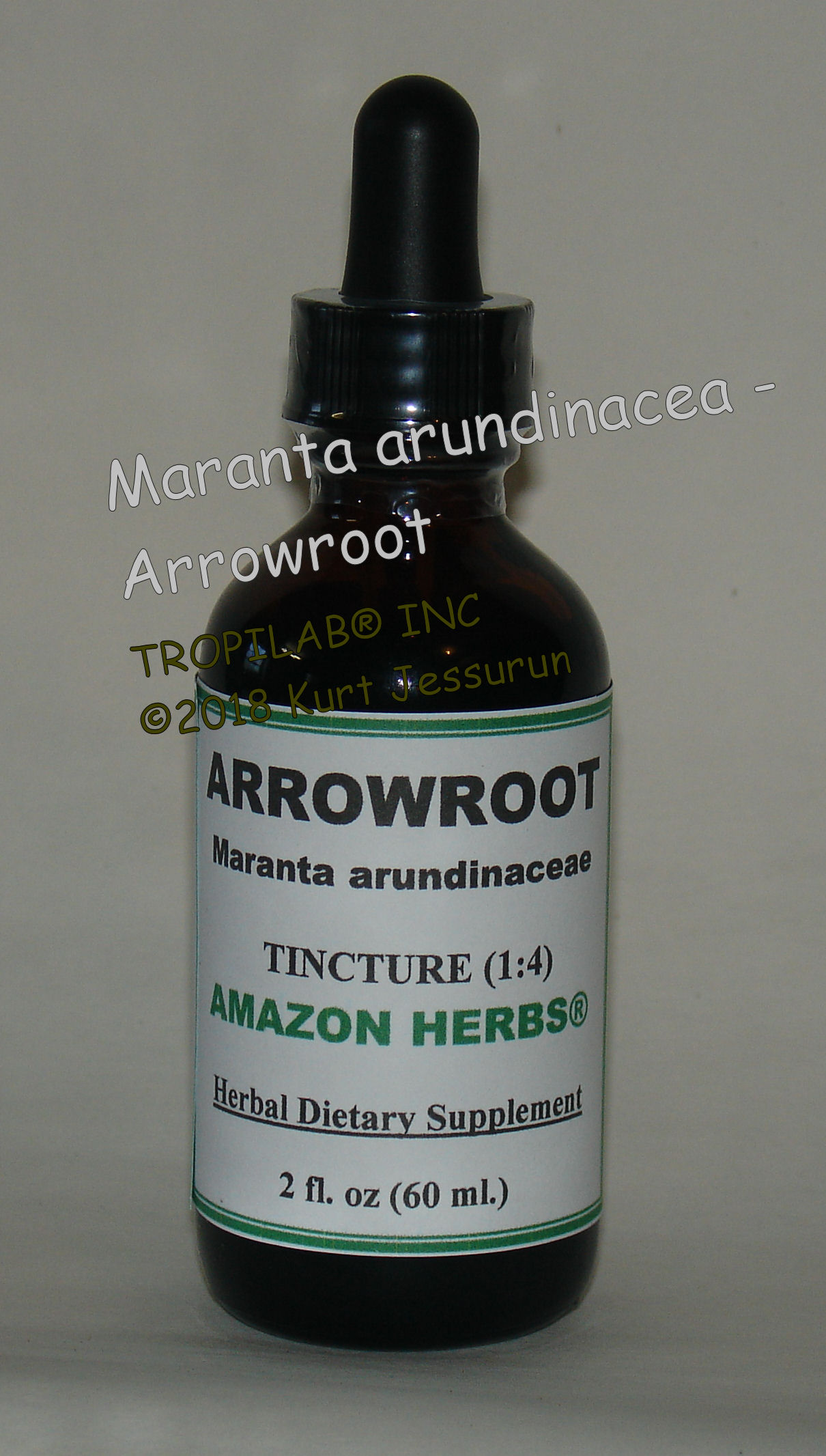 Maranta arundinacea - Arrowroot tincture only for US$18.65 per 2 fl oz.
It is a natural immune system booster and has powerful anti-inflammatory properties. Works naturally against intestinal disorders
 (acute diarrhea), and treats Urinary Tract Infections. It also improves the circulation and blood pressure; also lowers cholesterol.