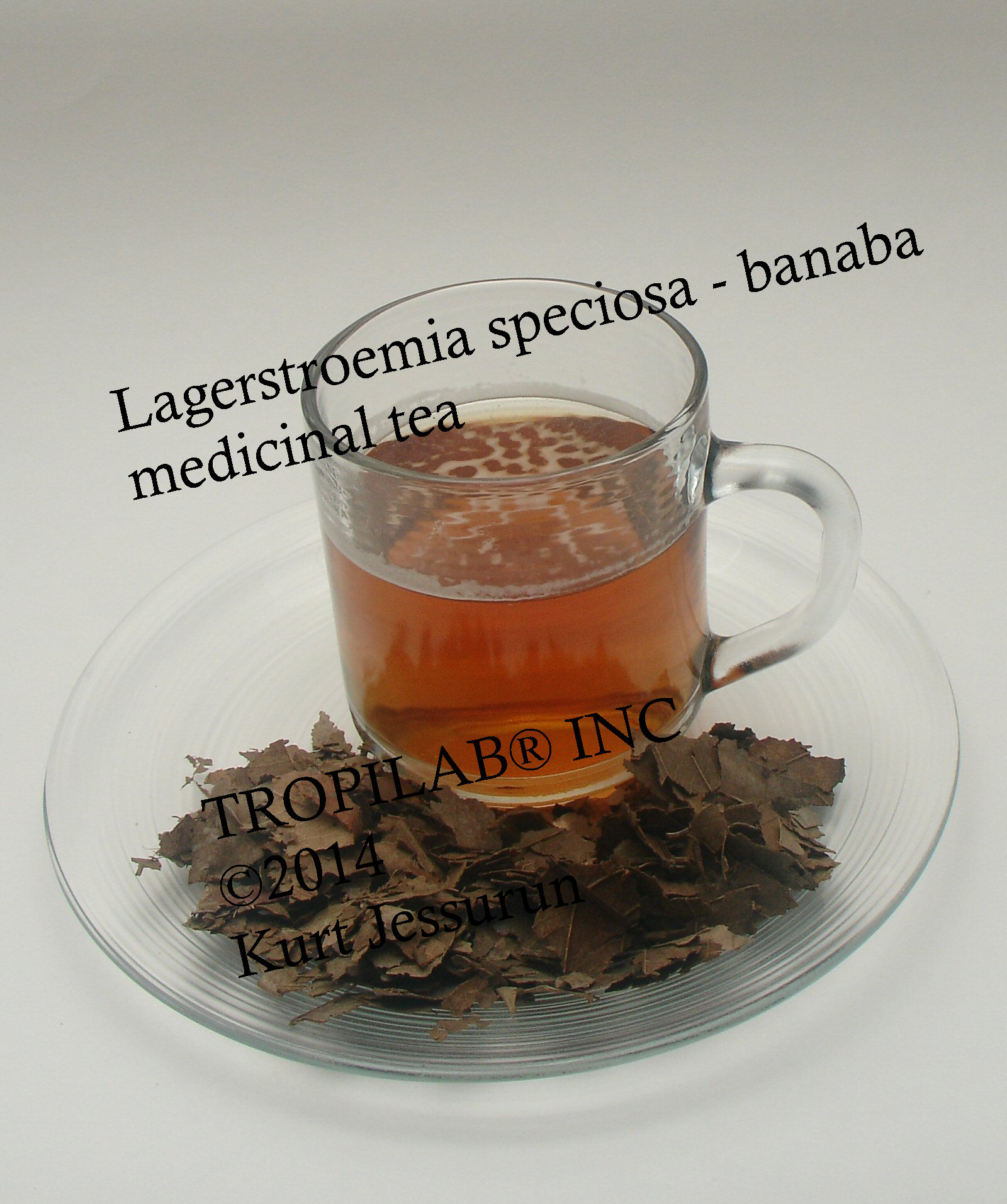 Banaba,Lagerstroemia speciosa herbal tea - Tropilab