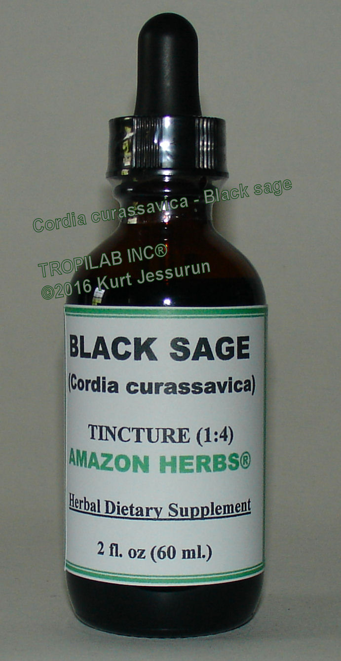 Cordia curassavica - Black sage tincture only for US$18.65 per 2 fl oz.
Leaves are used to treat colds and cough; also to treat infections, rheumatism and arthritis. Due to the anti-inflammatory it is also
 used against skin diseases, malaria, flu and fever.