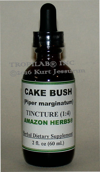 iper marginatum (Cake bush) tincture, only for US$18.65 per 2 fl oz. This medicinal plant is used to relieve pain, swelling and
 fever. It is haemostatic (substance used to stem internal bleeding), repellent, antibiotic and antifungal