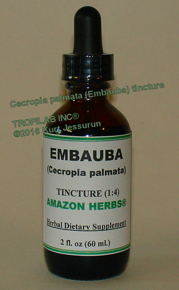 Cecropia palmata, Embauba tincture only for US$18.65. Embauba is used for the relief of asthma, cough and other upper
 respiratory complaints as bacterial- and viral infections. It is also used for sores on the mouth and/or tongue; excellent for weight control and effective against hypertension.