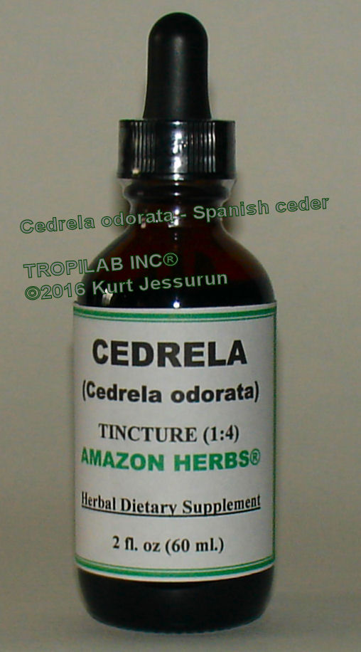 Cedrela odorata - Spanish ceder tincture only for US$18.65 per 2 fl oz. The resin from the bark is employed in the treatment of
 bronchitis. It is also used in the treatment of malaria and diabetes. A bark infusion is used as a remedy for diarrhea, fever, 
anti-inflammation, vomiting, hemorrhage, and indigestion. The decoction of the bark is used against malaria and fever.