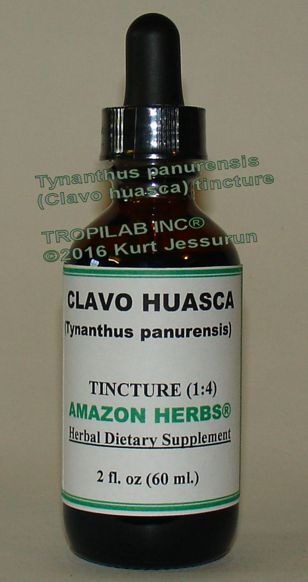 Tynanthus panurensis (Clavo huasca) tincture, only for US$18.65 per 2 fl oz. It is an exotic <b>aphrodisiac</b> (natural sexual
 stimulant) and used by both men and women for sexual potency and erections. Also used as a digestive aid, general tonic, to
 treat rheumatism and as an appetite stimulant; it also helps with toothache. The bark extract could be beneficial for treating inflammation.