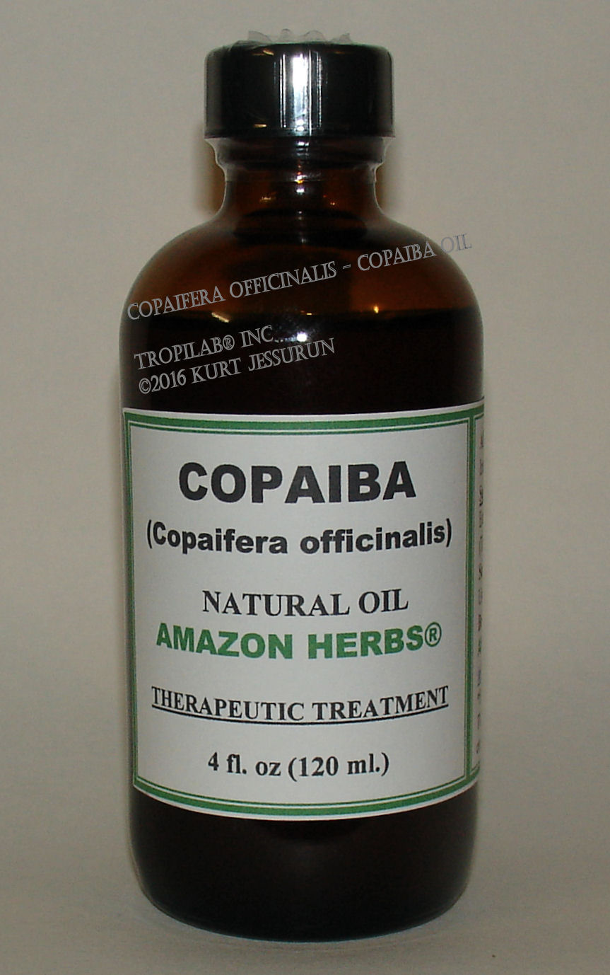 Copaifera officinalis - Copaiba oil