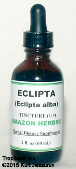 Eclipta alba tincture - Tropilab. Tincture of Eclipta alba is in Ayurvedic medicine successfully used against kidney and liver 
problems such as cirrhosis, infective hepatitis and jaundice.