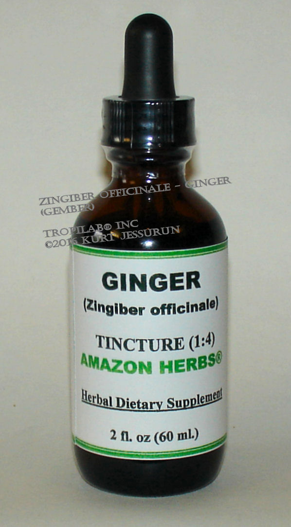 Zingiber officinale, Ginger tincture - Tropilab. It prevents blood clots, used as an appetite stimulant, reduces LDL and triglycerides.