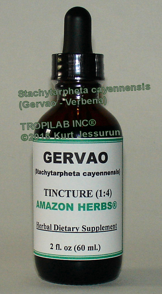 Stachytarpheta cayennensis - Verbena (Gervao) tincture only for US18.65 per 2 fl oz.