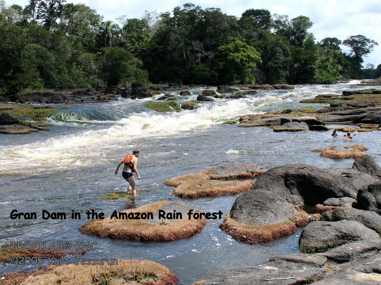 Gran Dam in the Amazon Rain forest - TROPILAB