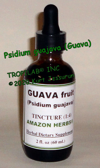 Psidium guajava (Guava) fruit tincture - Tropilab