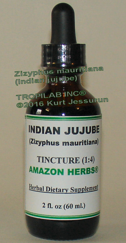 Zizyphus mauritiana (Indian jujube) tincture - Tropilab