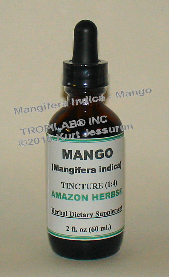 Mangifera indica - Mango tincture