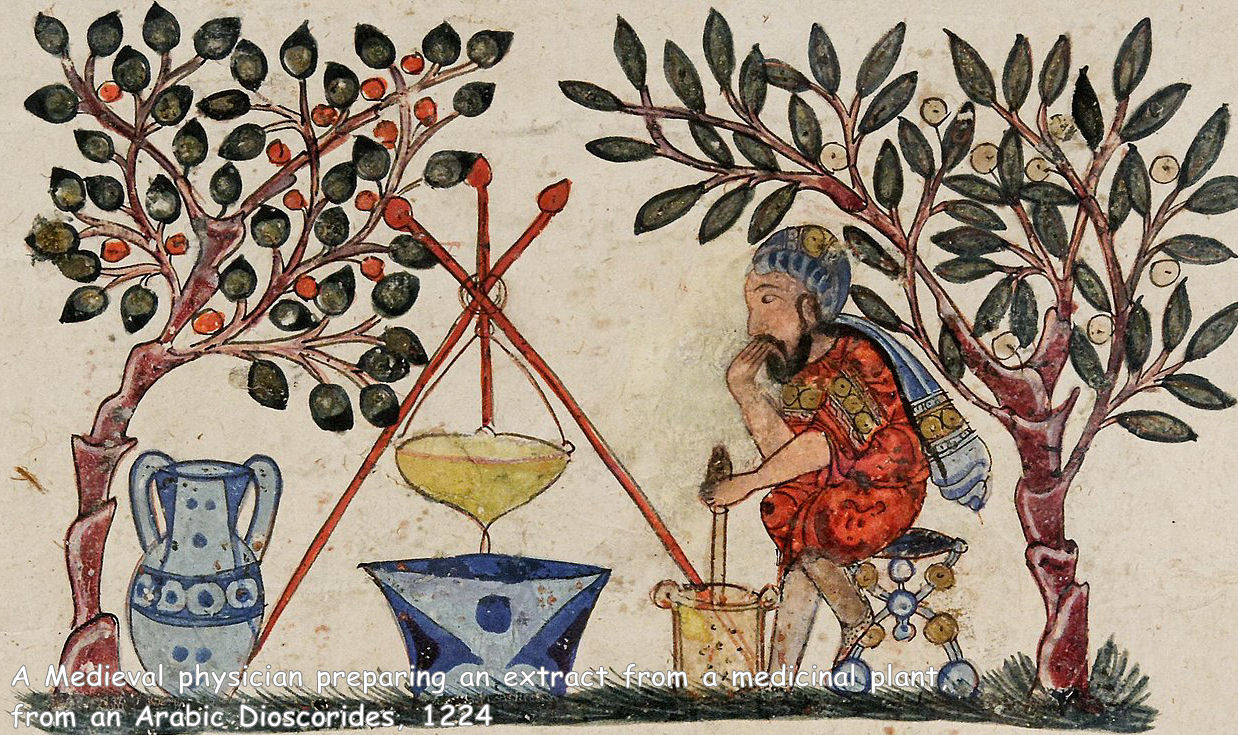 An medieval physician preparing an extract from a medicinal plant