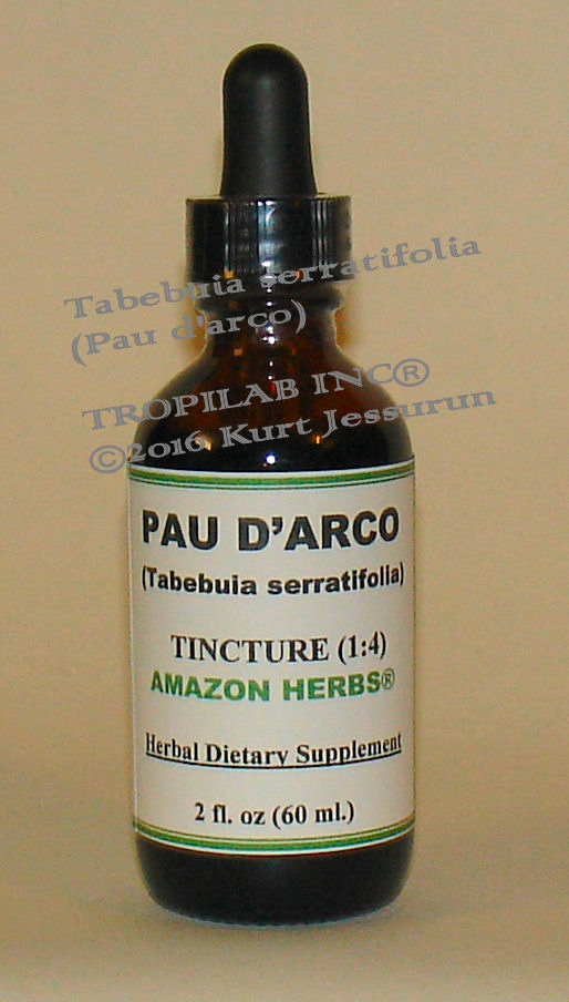 Tabebuia serratifolia - Pau d'arco tincture; TROPILAB. This tree has numerous medicinal applications; the wood is one of the
 hardest and most sought after available.