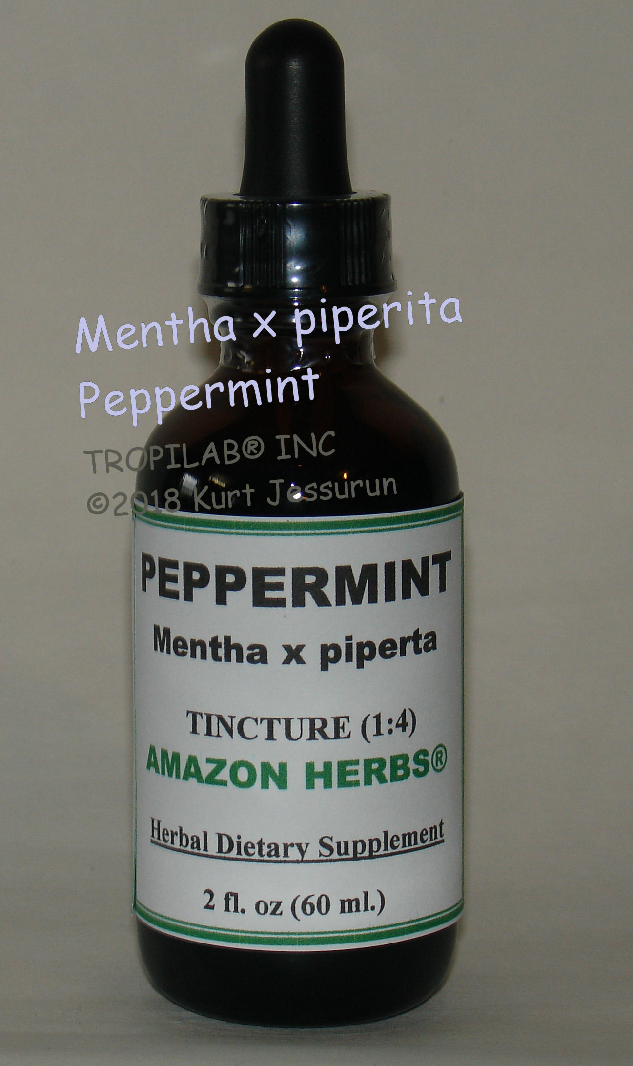 PEPPERMINT HERBAL TINCTURE supports gastrointestinal tract