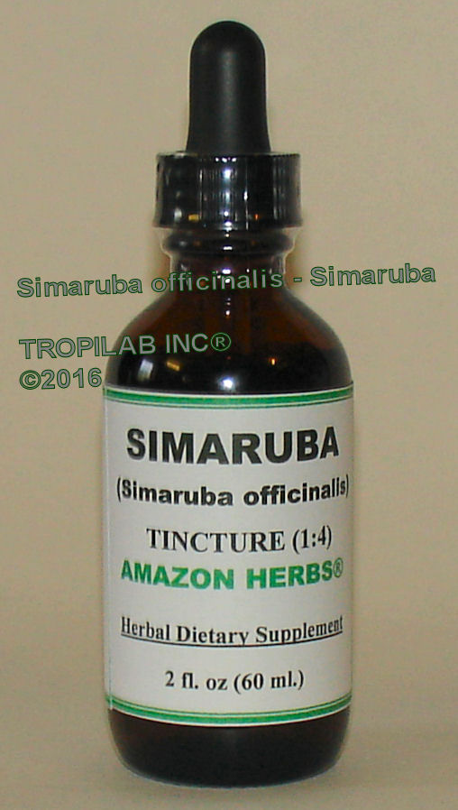 Simarouba officinalis - Simaruba tincture, TROPILAB. The powdered or chopped up bark is used for infections,
 candida yeast, parasitic, respiratory and prostatitis, swelling and inflammation of the prostate gland, anti-amebic and anti-
malarial properties, anticancer properties. It is also used in the latter stage of dysentery. It is the foremost natural remedy against chronic and acute dysentery.