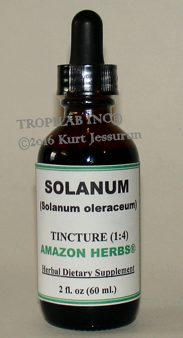 Solanum oleraceum (Glossy nightshade) tincture