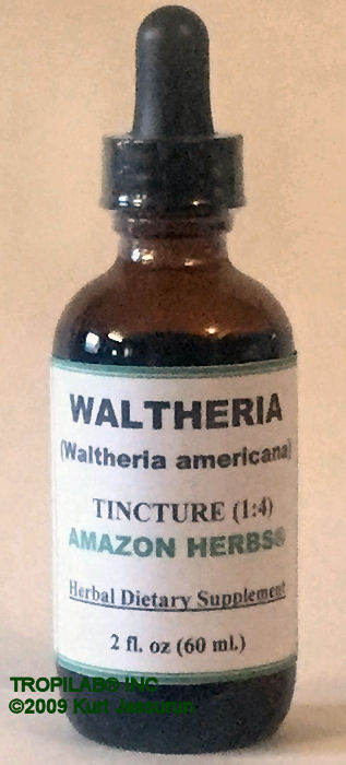Waltheria americana tincture